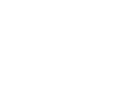 logo-texas_web_light